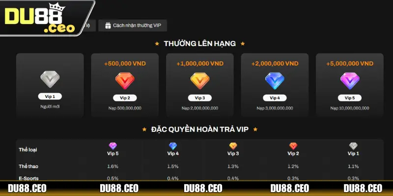 Khuyến mãi DU88 Khuyến mãi DU88 đặc quyền VIP